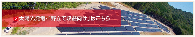 太陽光発電・野立て収益向け